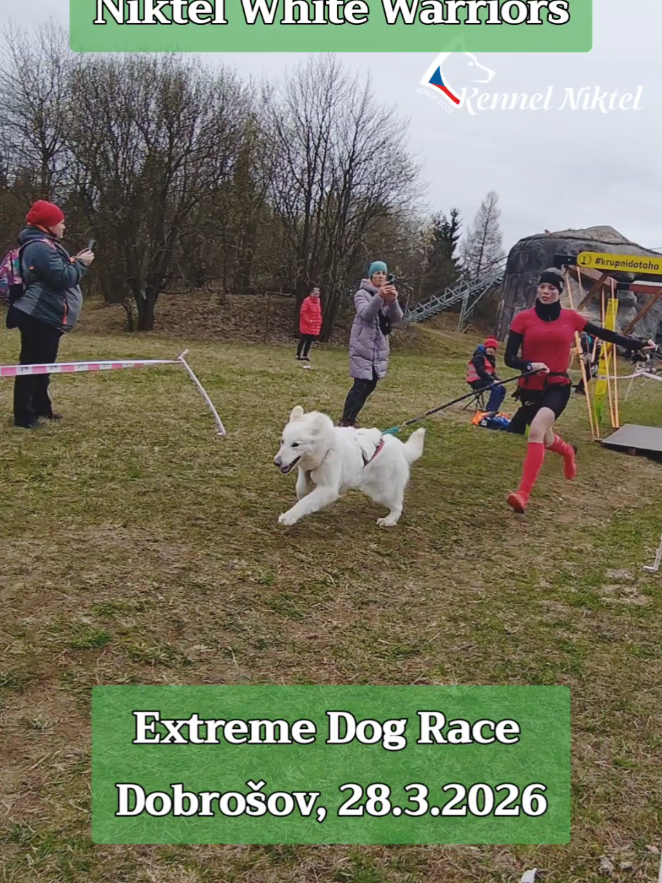 @Kennel Niktel
