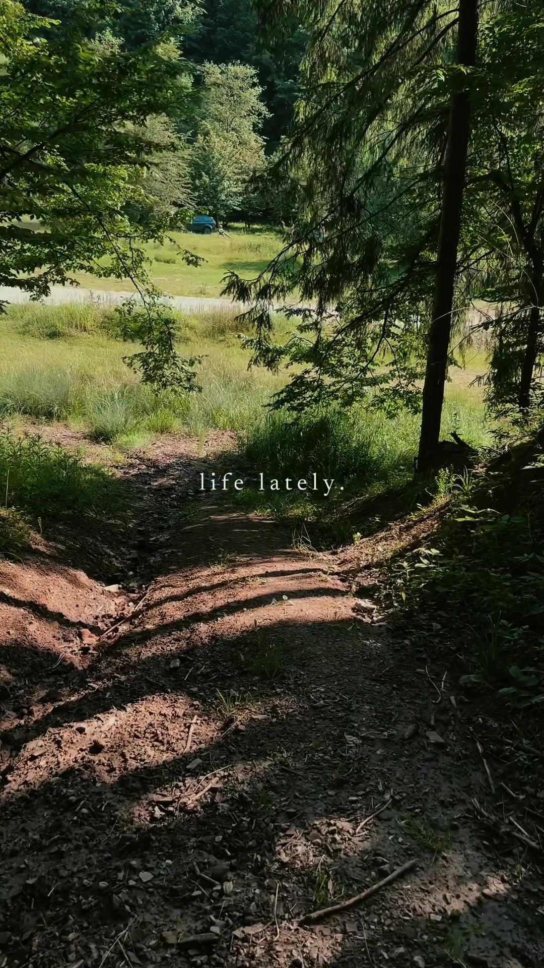 @Mitel Dan | Nature