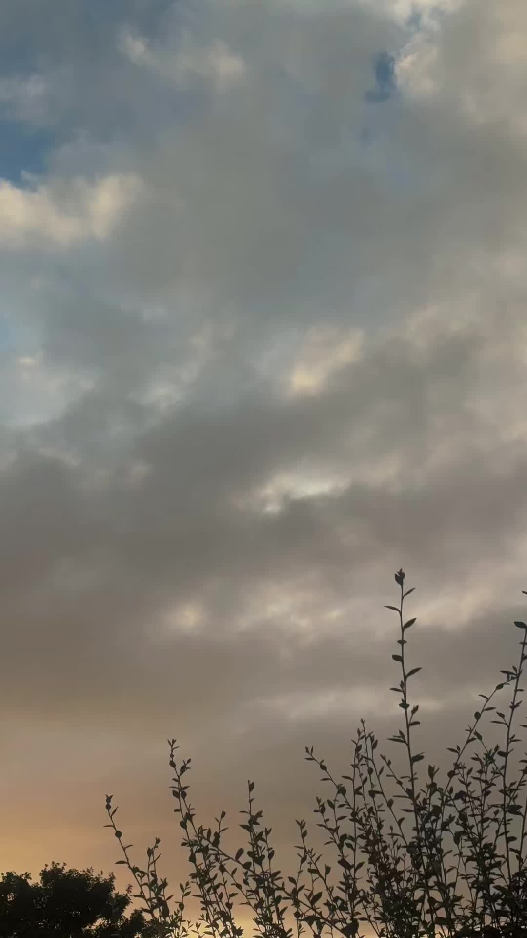 @amanda173000