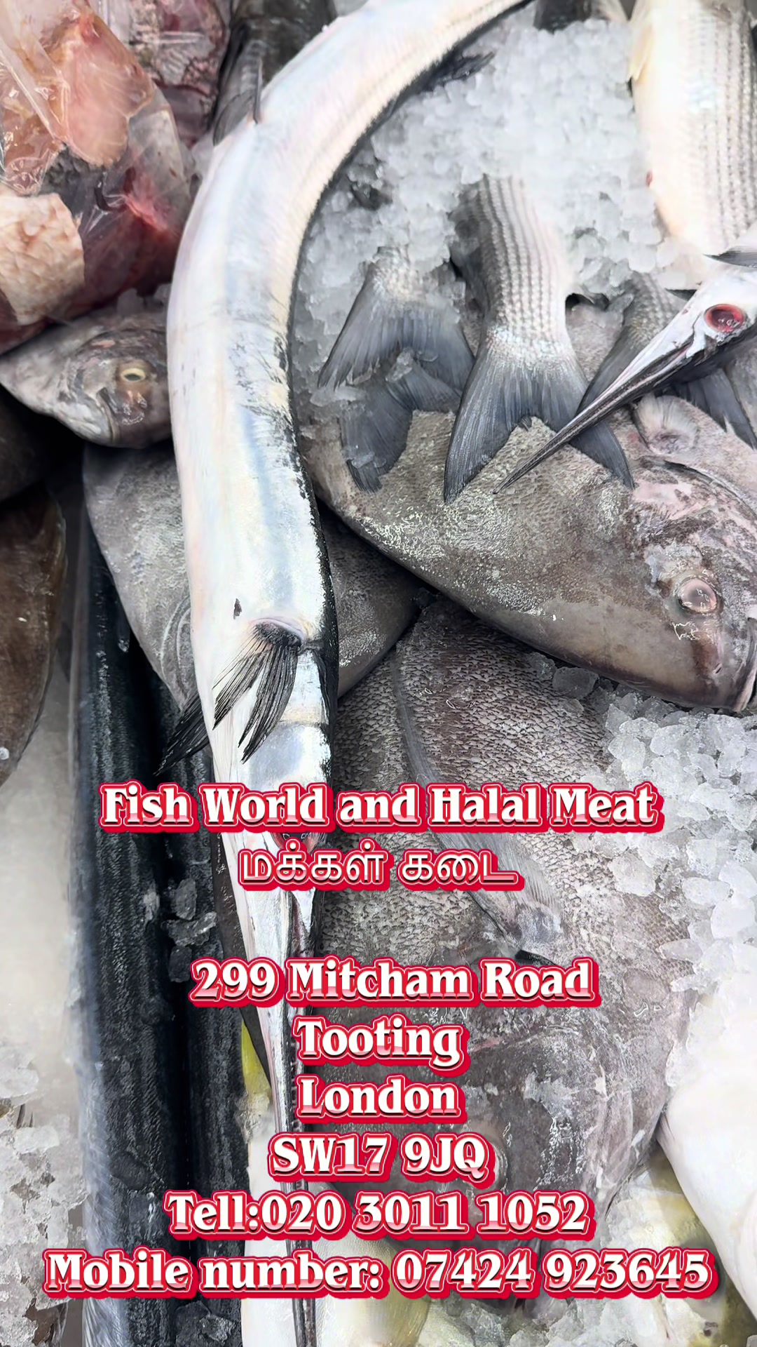 @Fishworld and Halal Meat