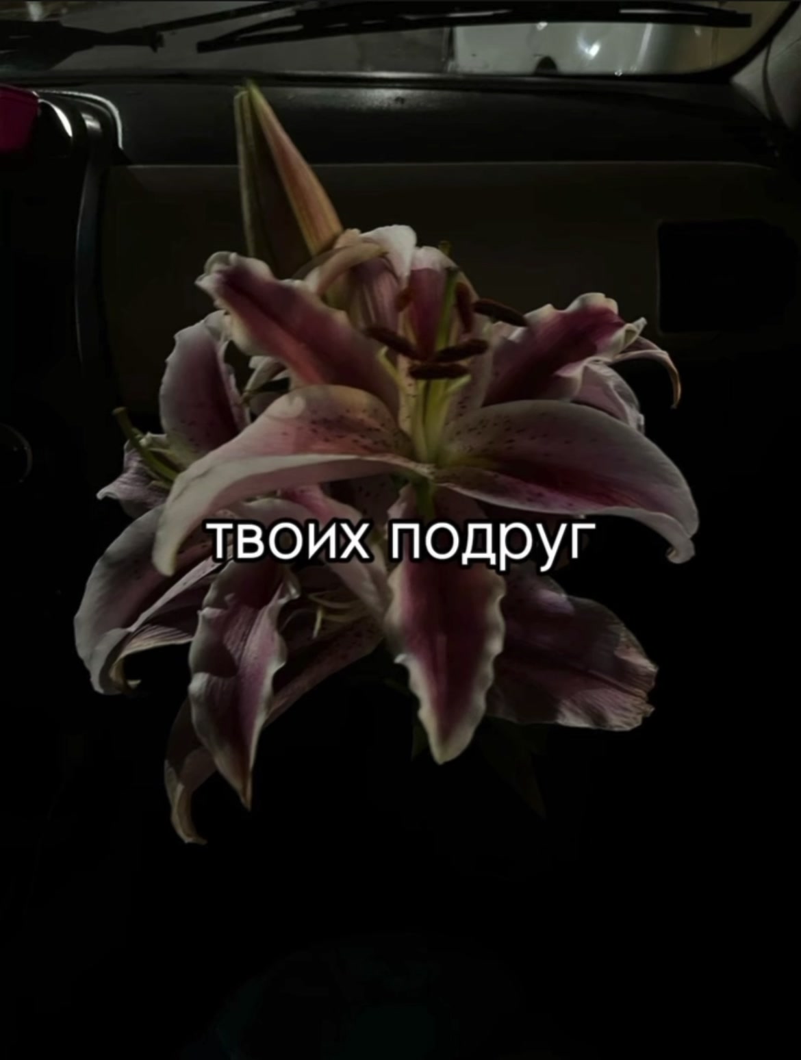 @ᴛᴩᴇᴋи дᴧя ᴧиᴨᴄинᴦоʙ
