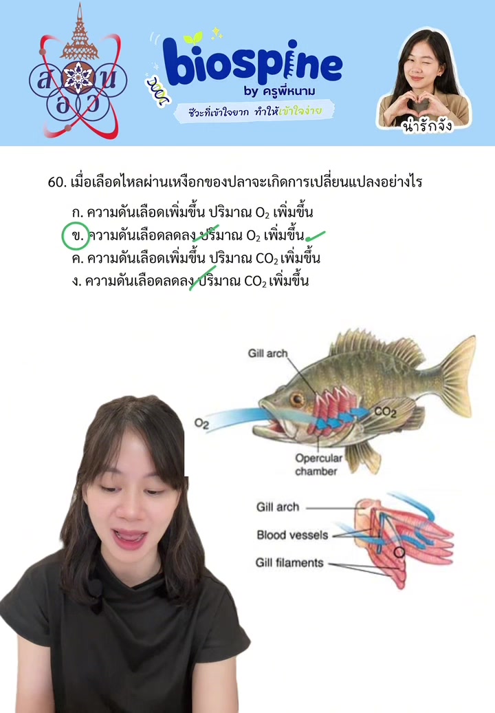 @Biospine by ครูหนาม