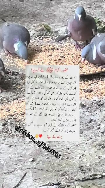 @Sister N Khan&hearts;️