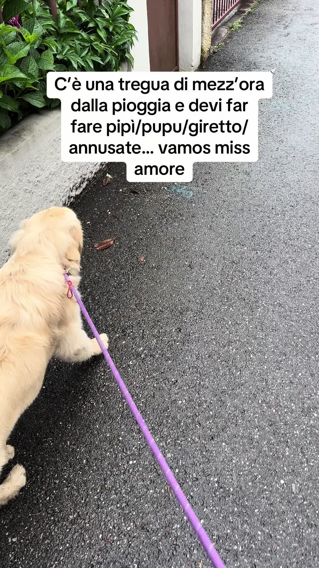 @Raffa&Cali