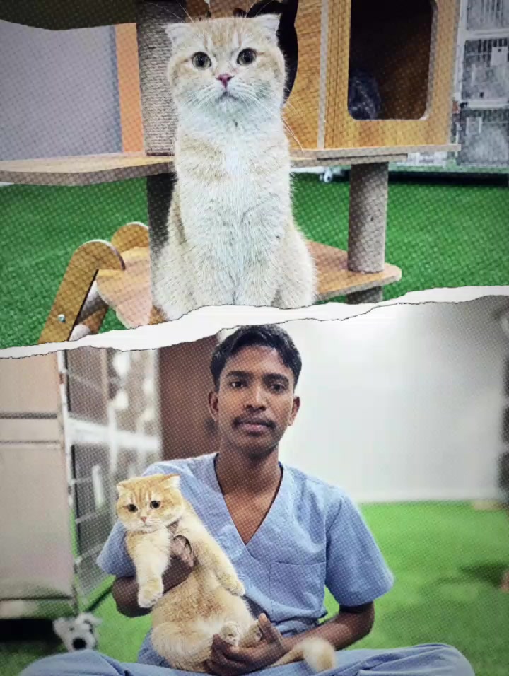 @Naiem Ahamed 🇧🇩🇸🇦❤️&zwj;🩹✈️