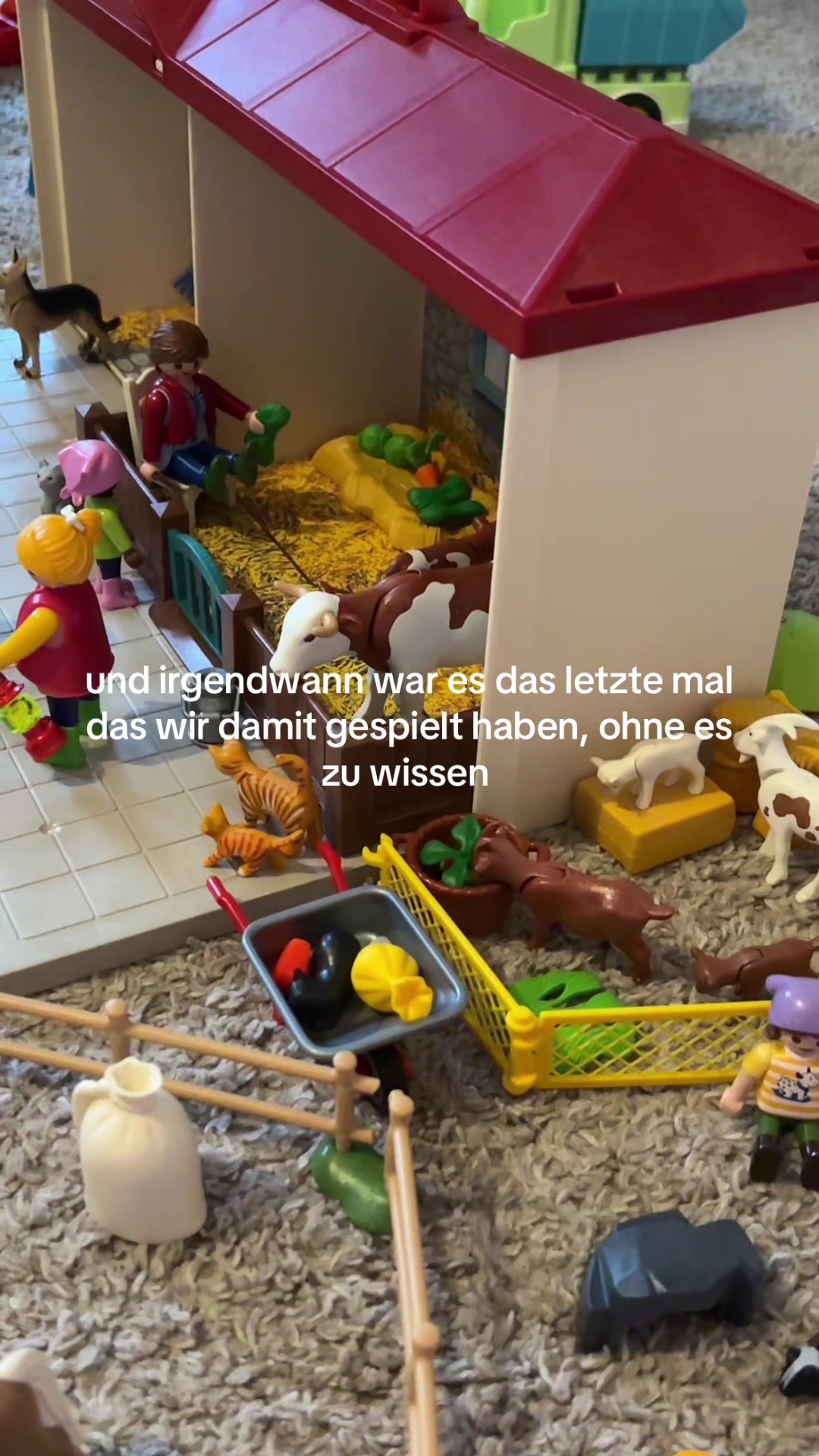 @aimee