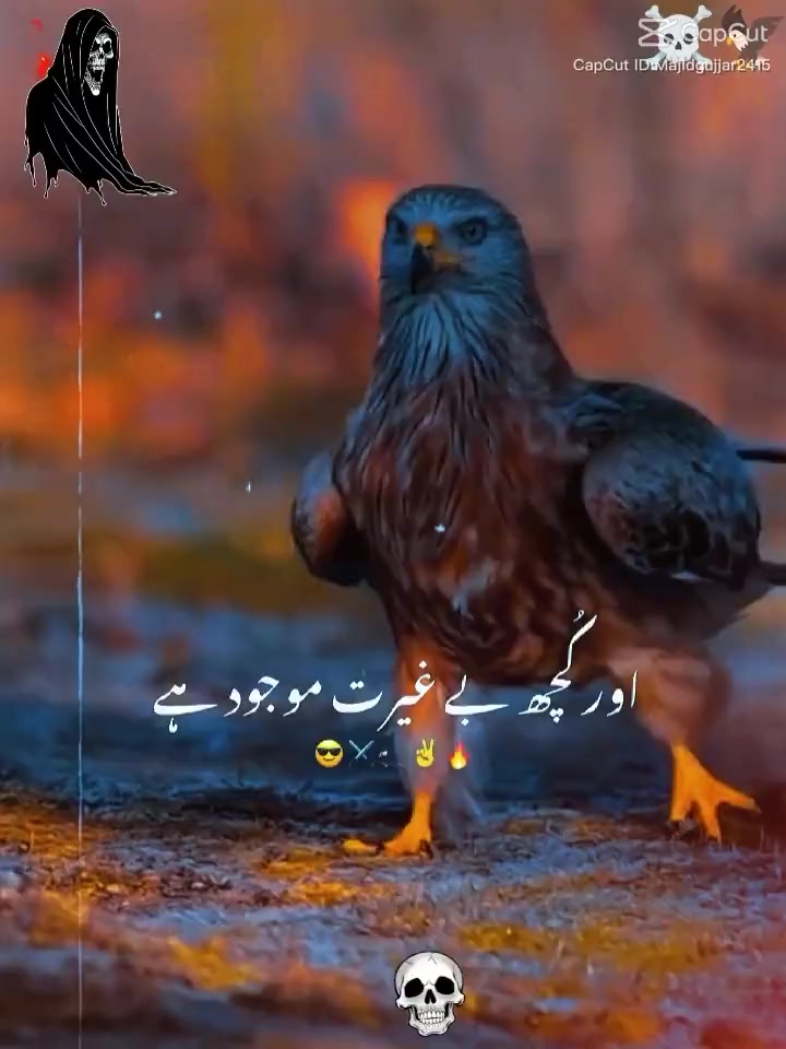 @Sanawa Sanwal