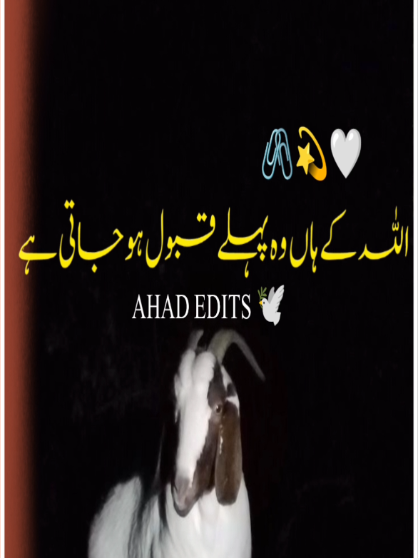 @I love Baba Jaan