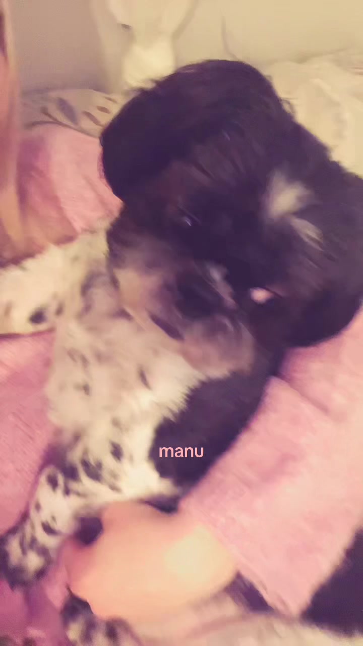@emma 🤍