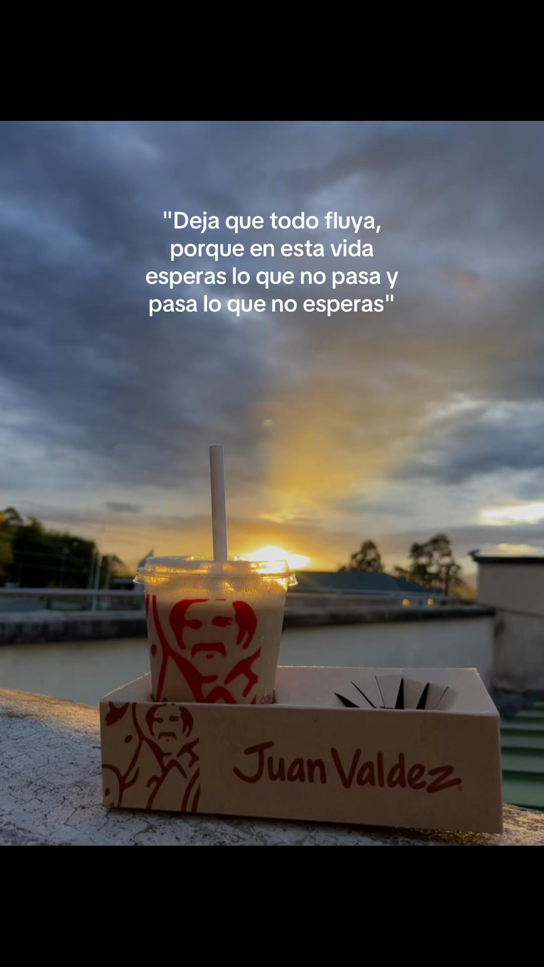 @Vidal🧚🏻♀️
