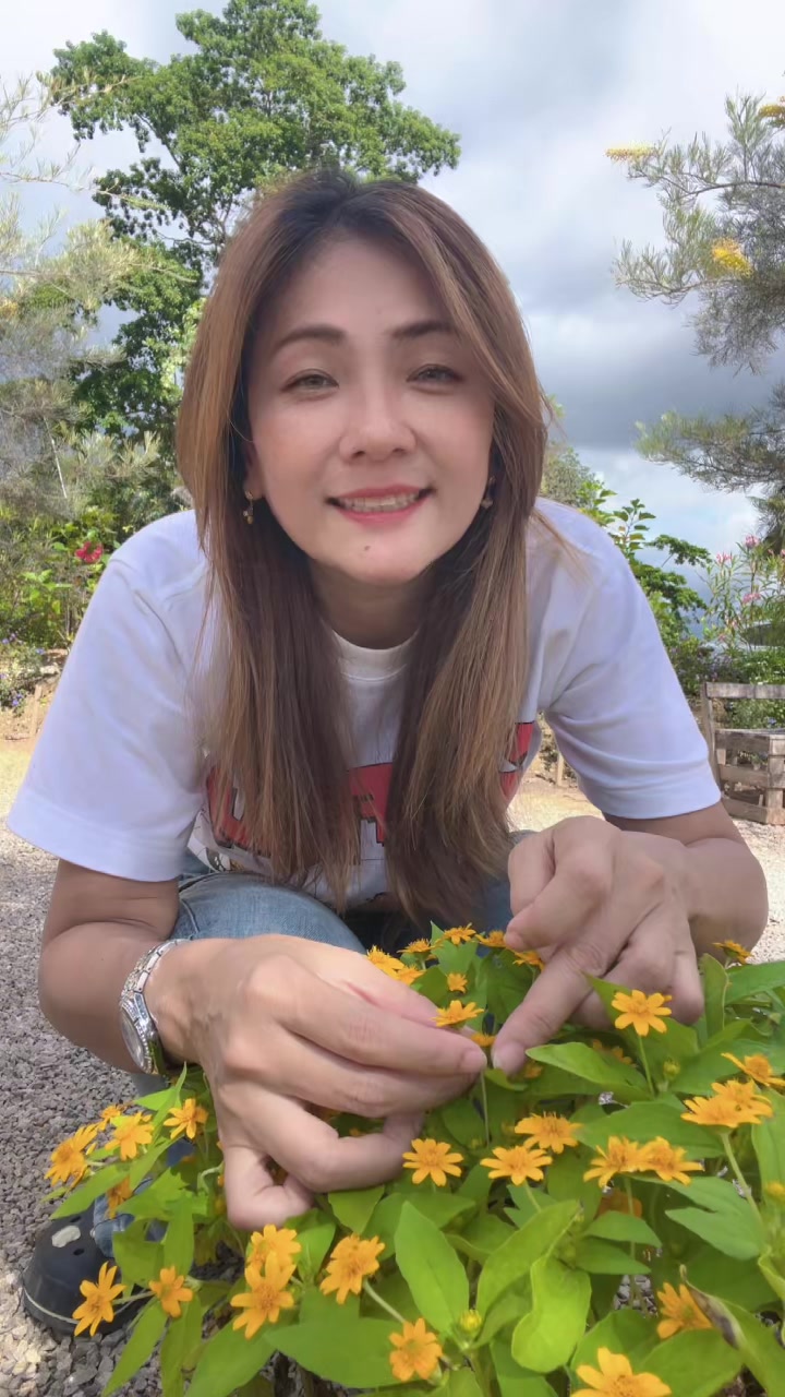 @carrycute