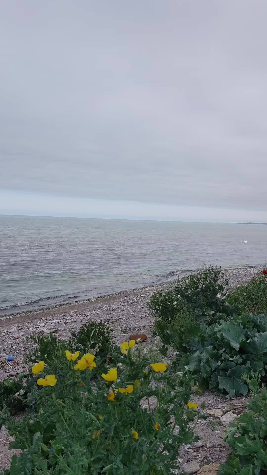 @🌊#