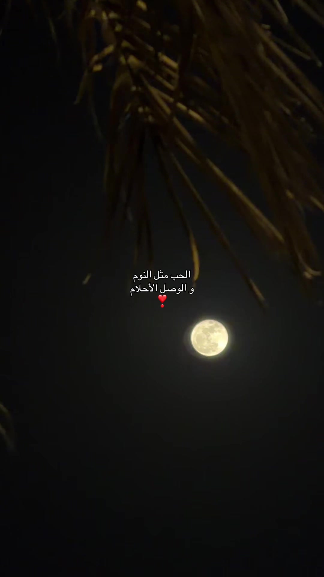 @مودل لجين | الاحساء 🌴.