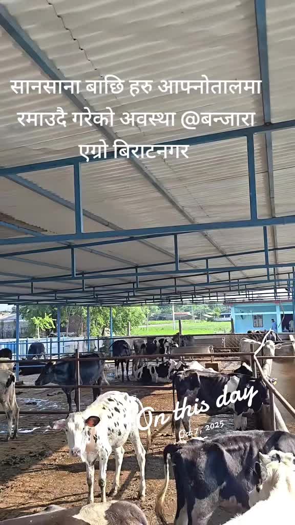 @Banjara Agro