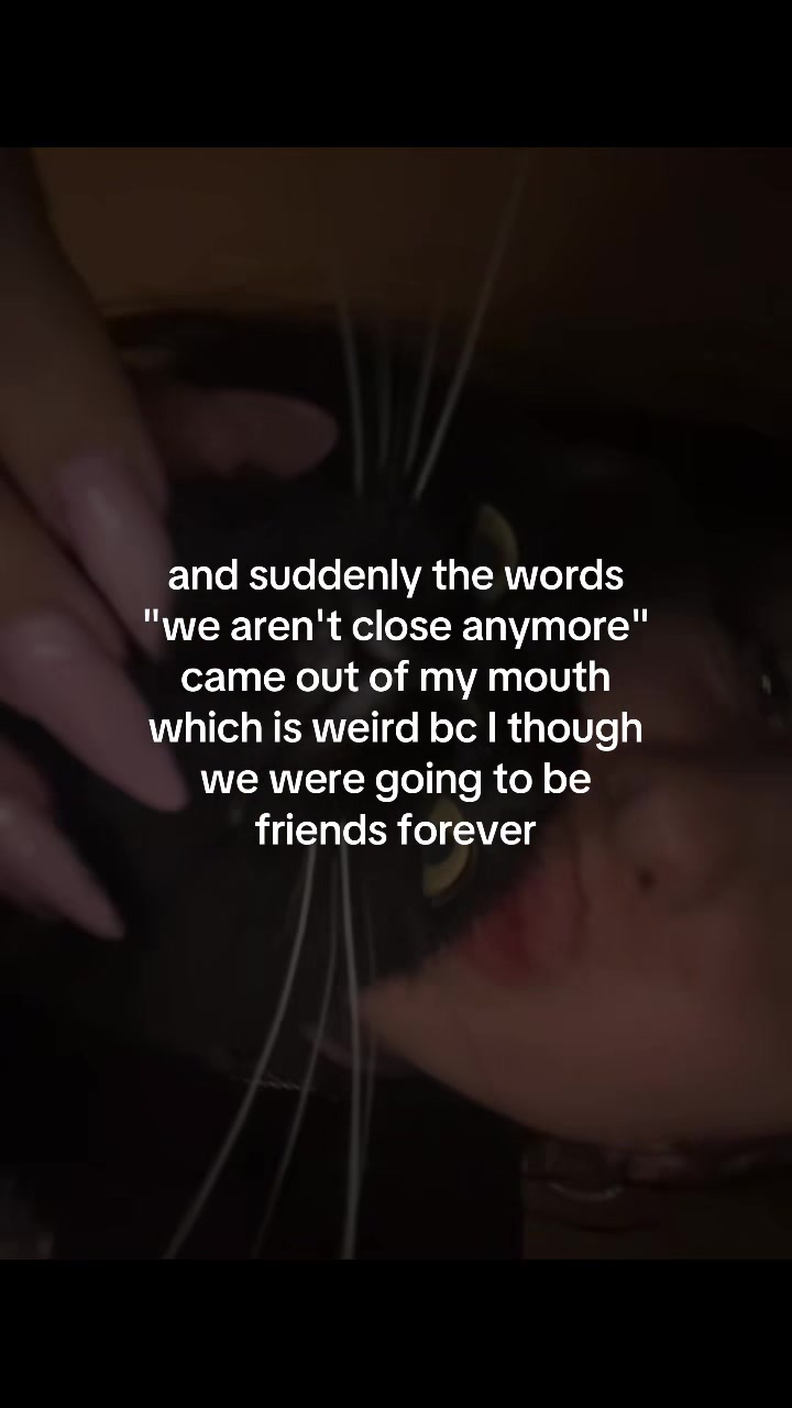 @lautschn 🌻