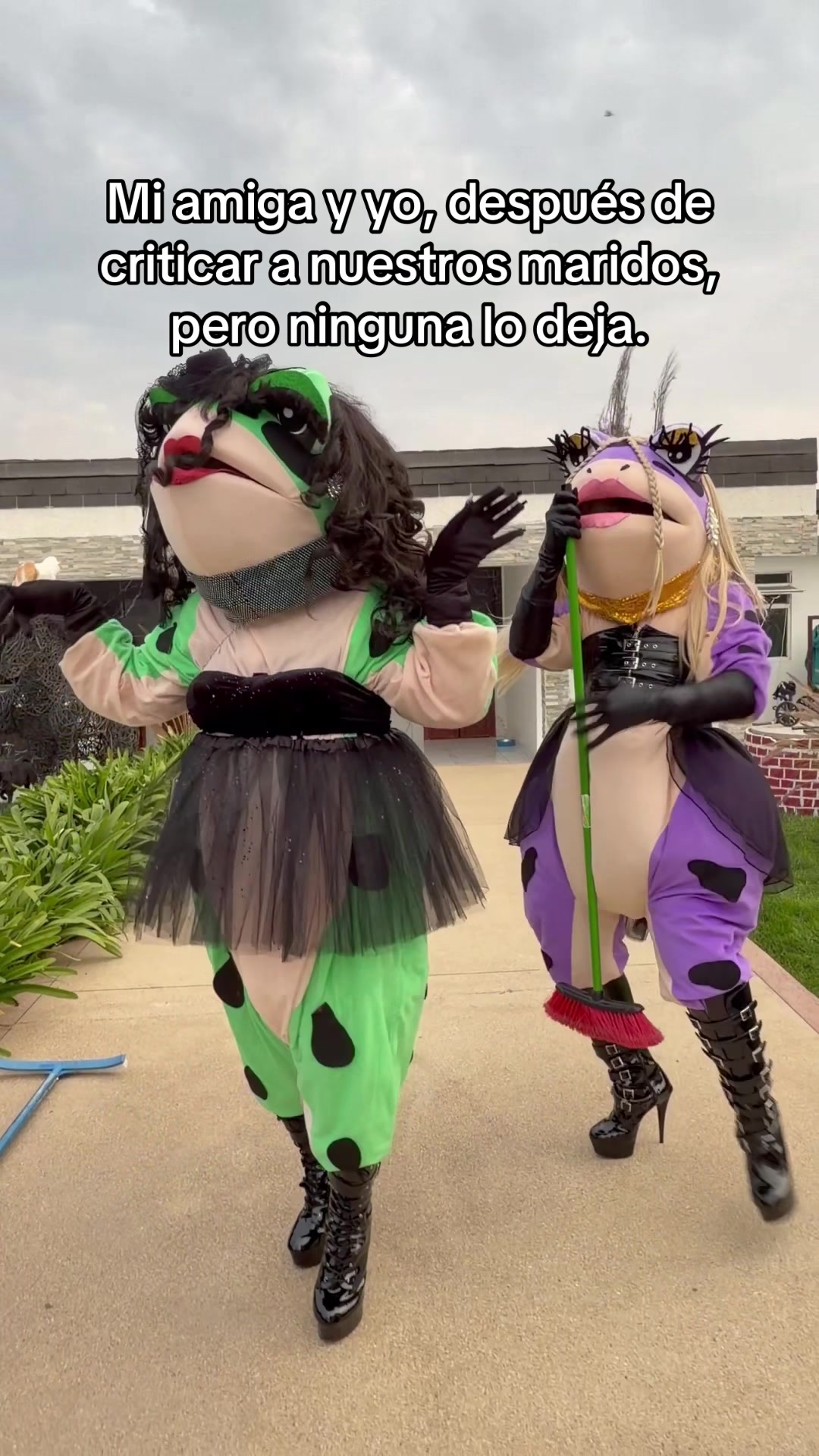 @Las Anfidivas