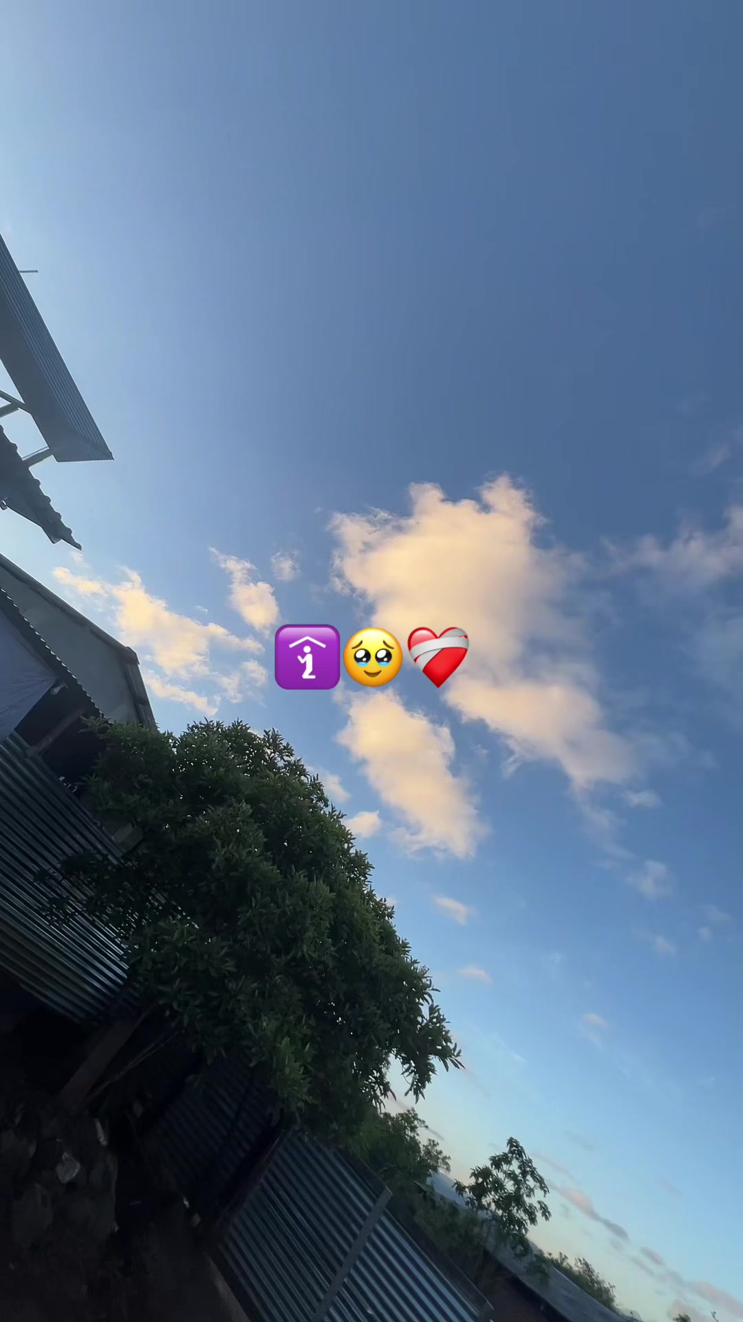 @ZvlFabiii 🦦🐾