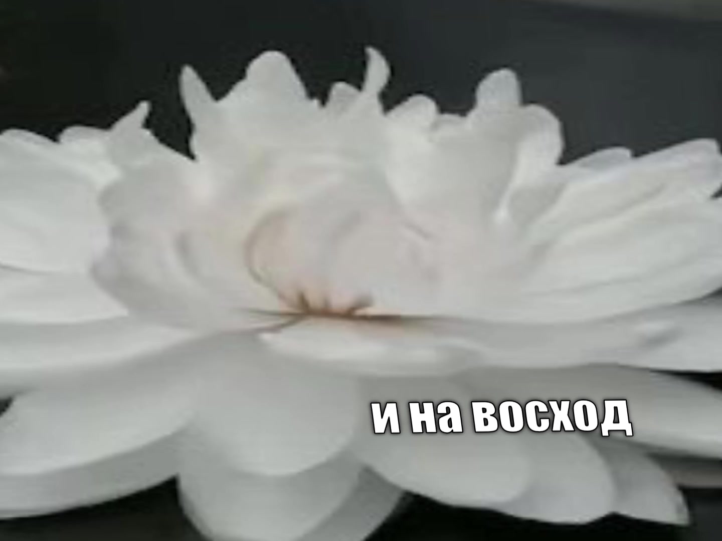 @музыка для липсингов