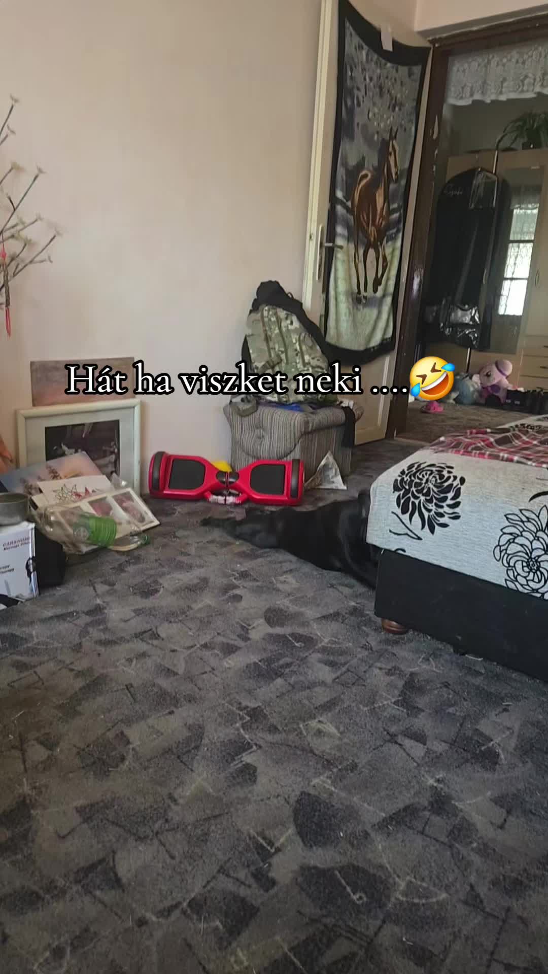 @꧁༒𝓔𝓻_𝓩𝓼𝓲𝓴𝓮༒꧂ 🪽🐶🐴888