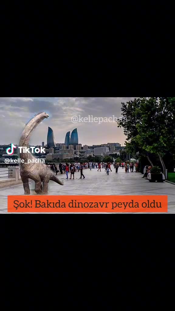 @ADMİN