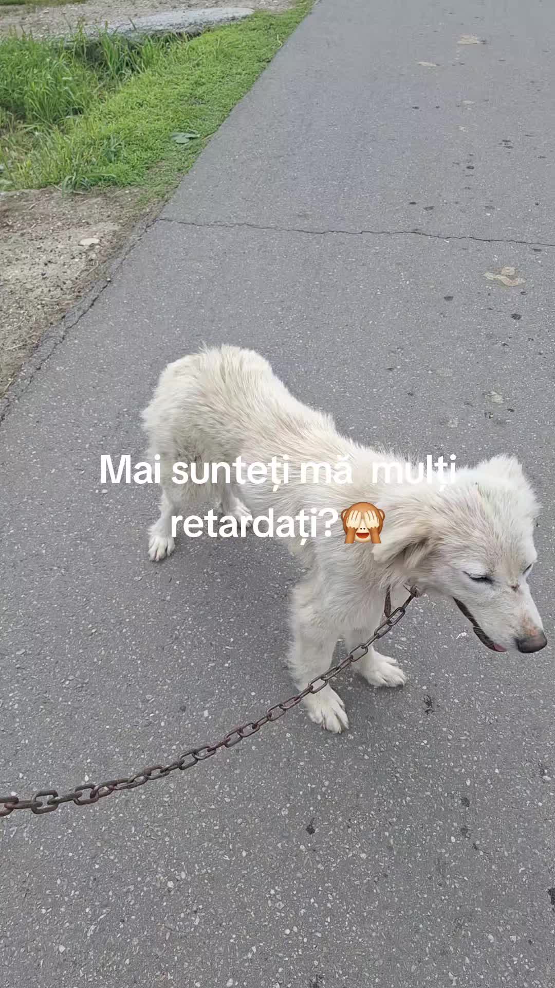 @Rali