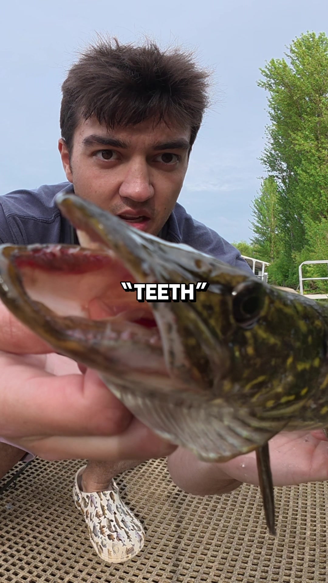 @JlangFishing