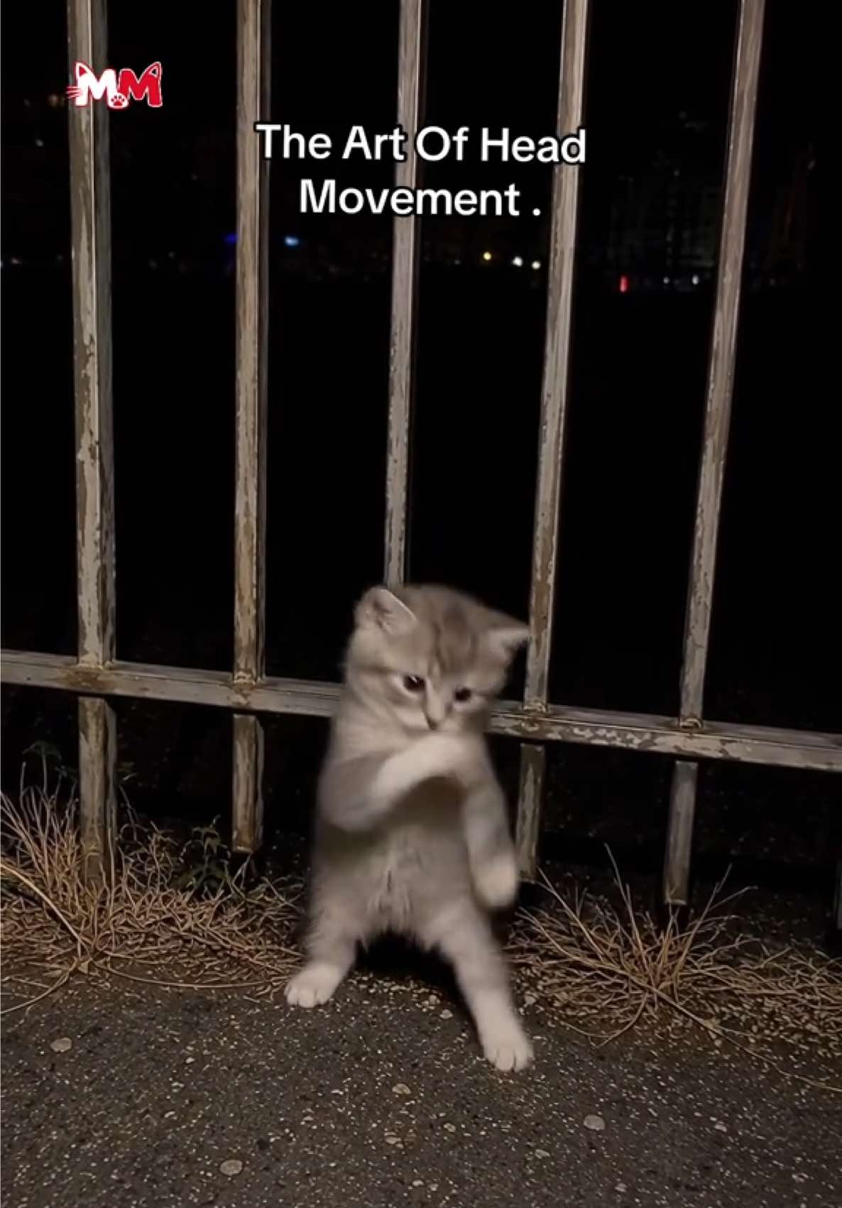 @meowmotion