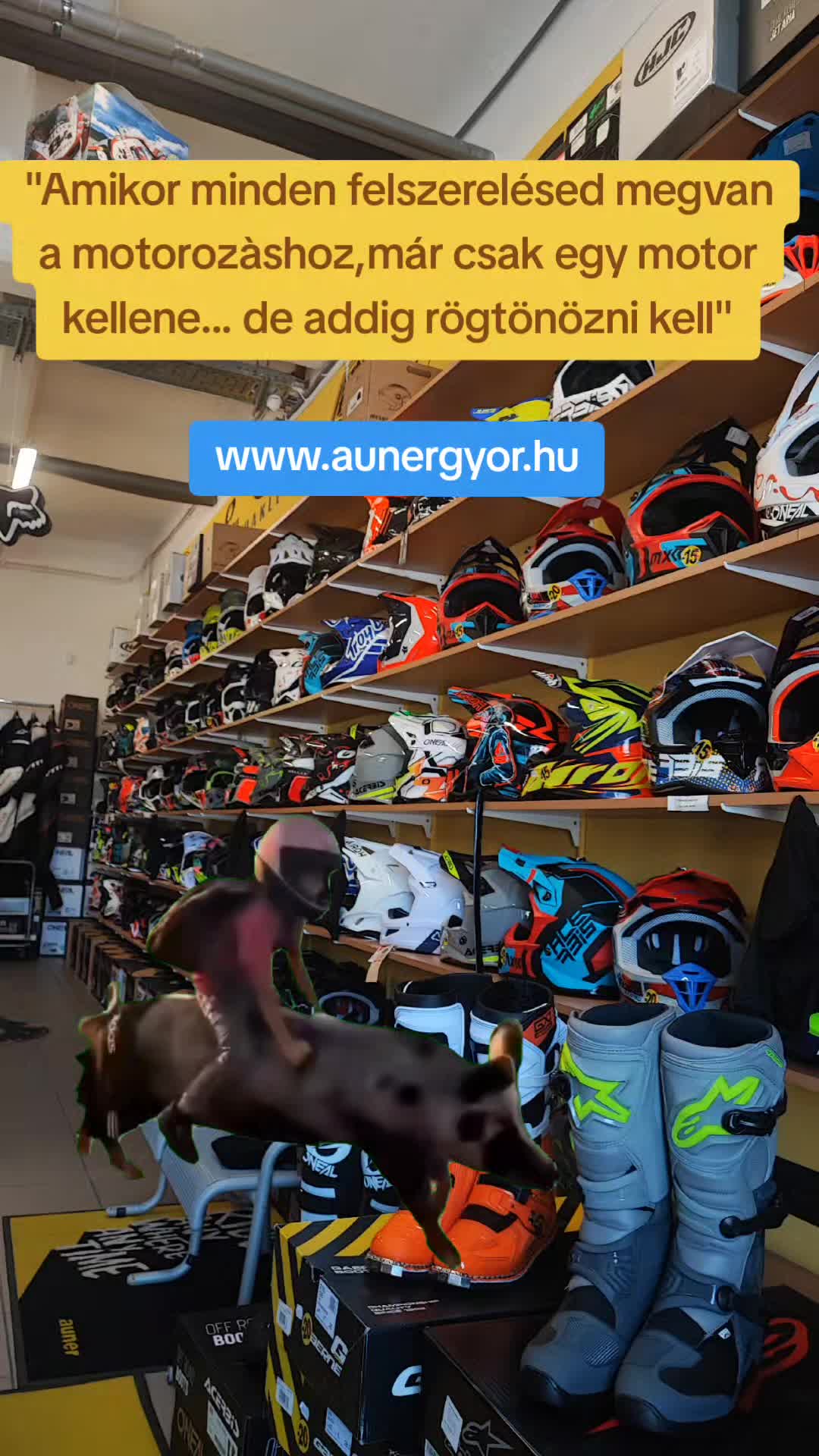 @Auner Győr