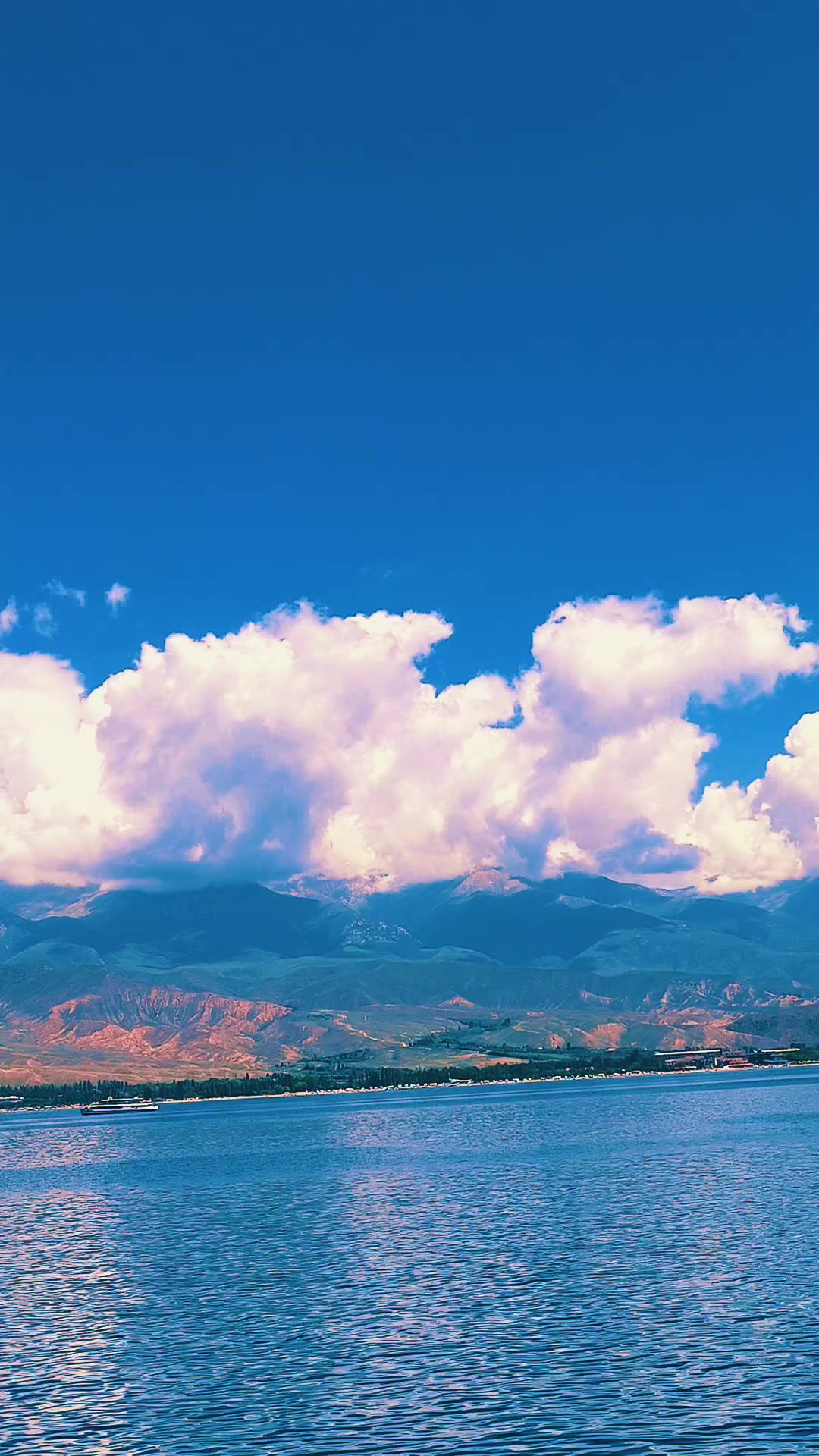 @𝐄𝐋𝐋𝐓𝐎