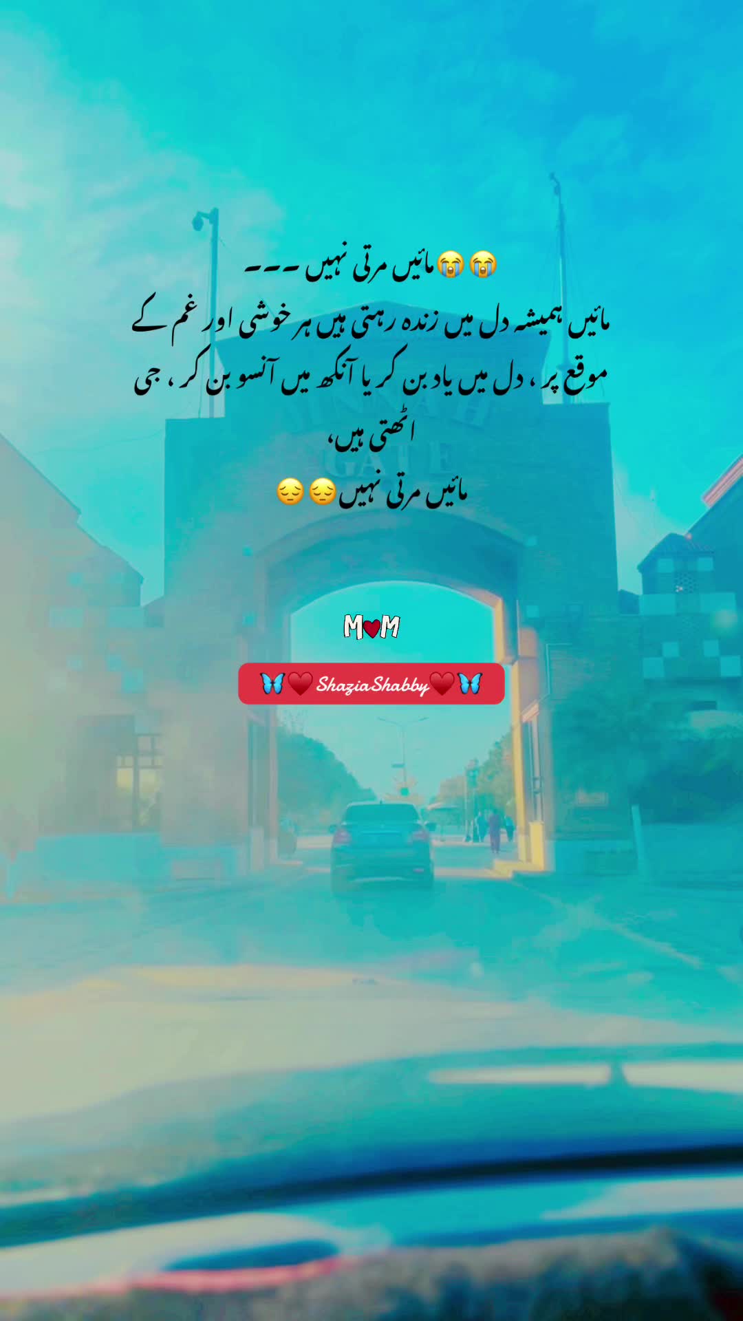 @Shaby♥️✨سیپ
