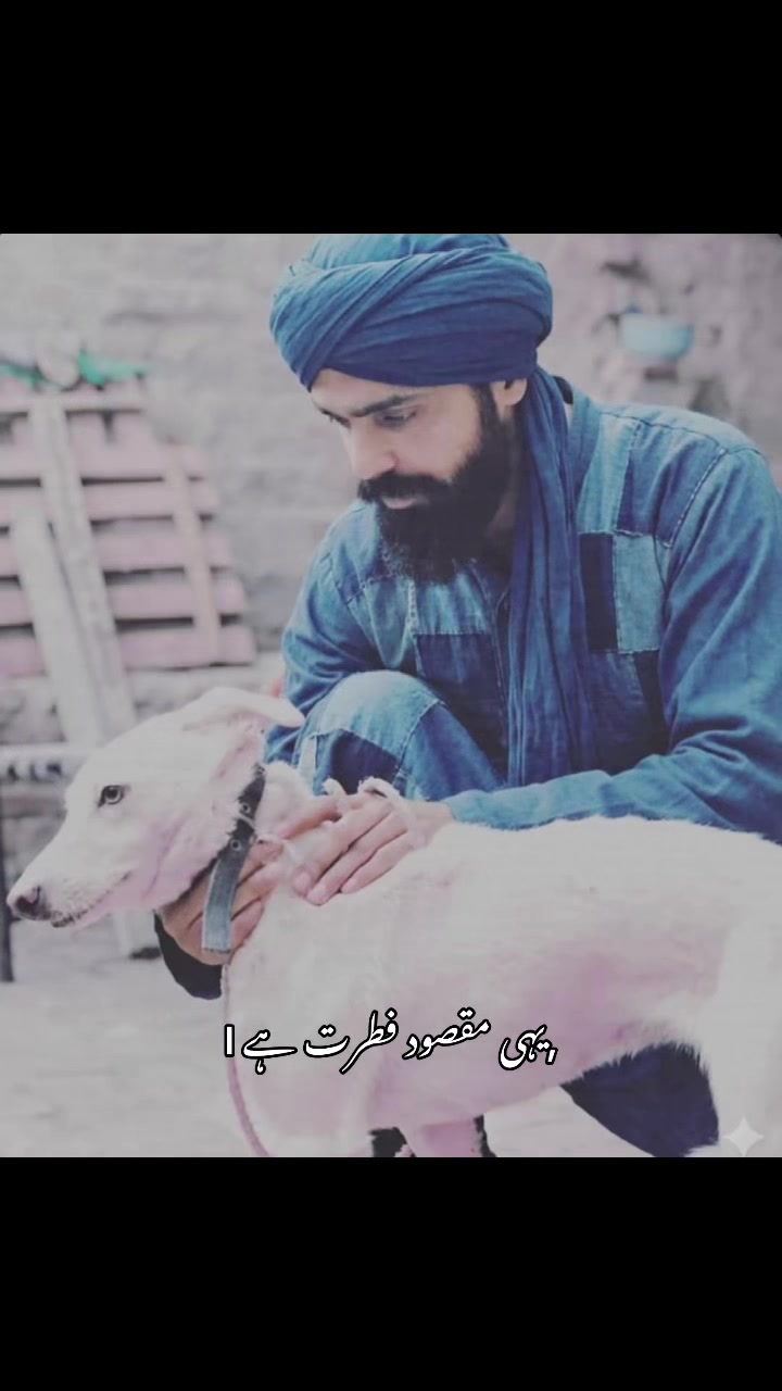 @Arhaan.