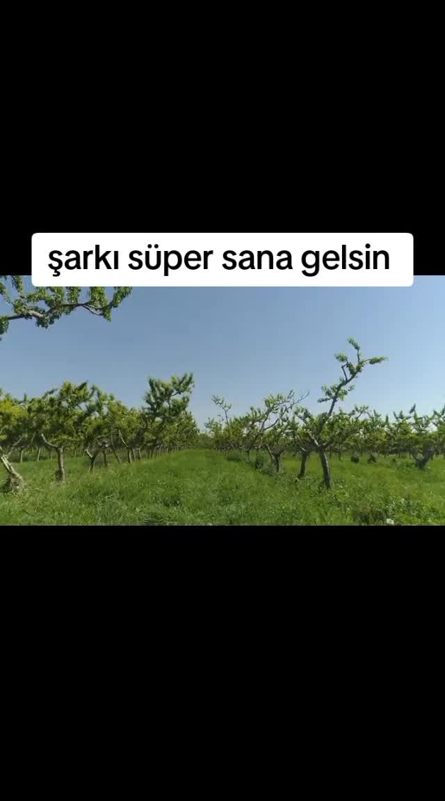 @🍂SUS VE DİNLE 🍂