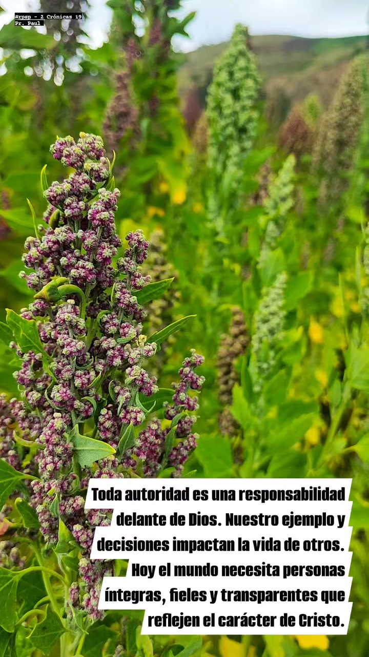 @pastorpaulpb4
