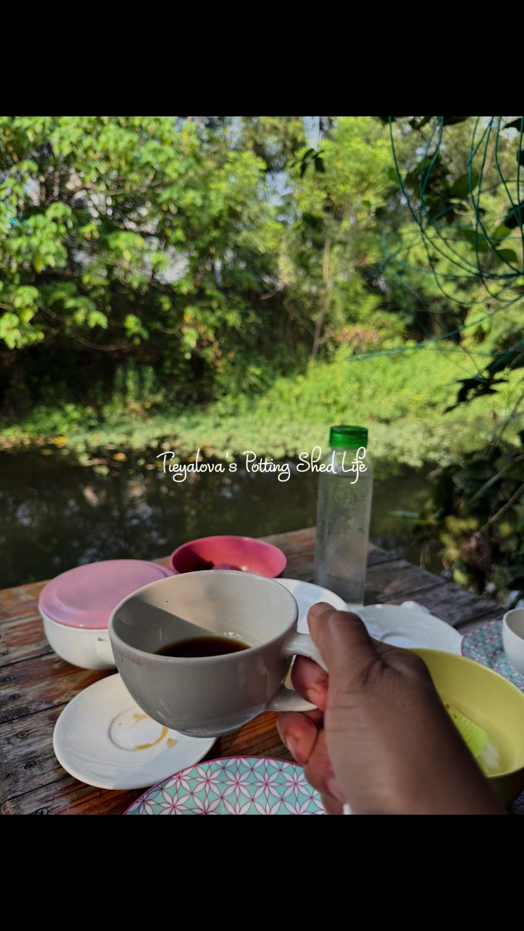 @Tieyalova’s Potting Shed