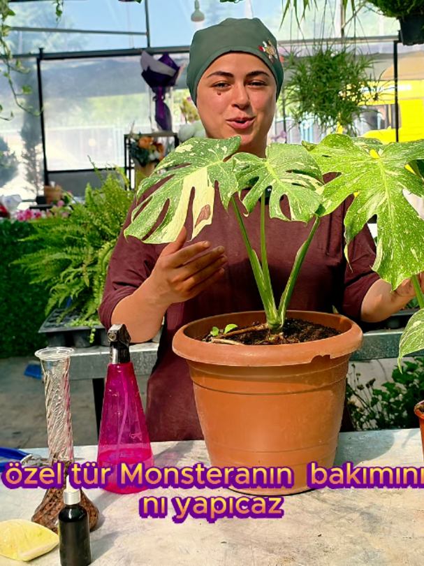 @Botanik bah&ccedil;esi flora