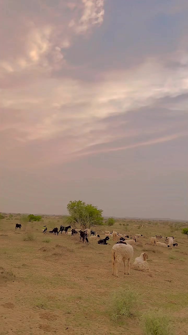 @ابوبکر🌸