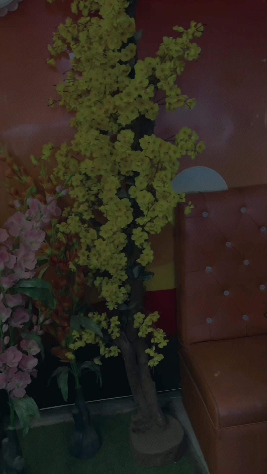 @Sinu:)>✨🕊️