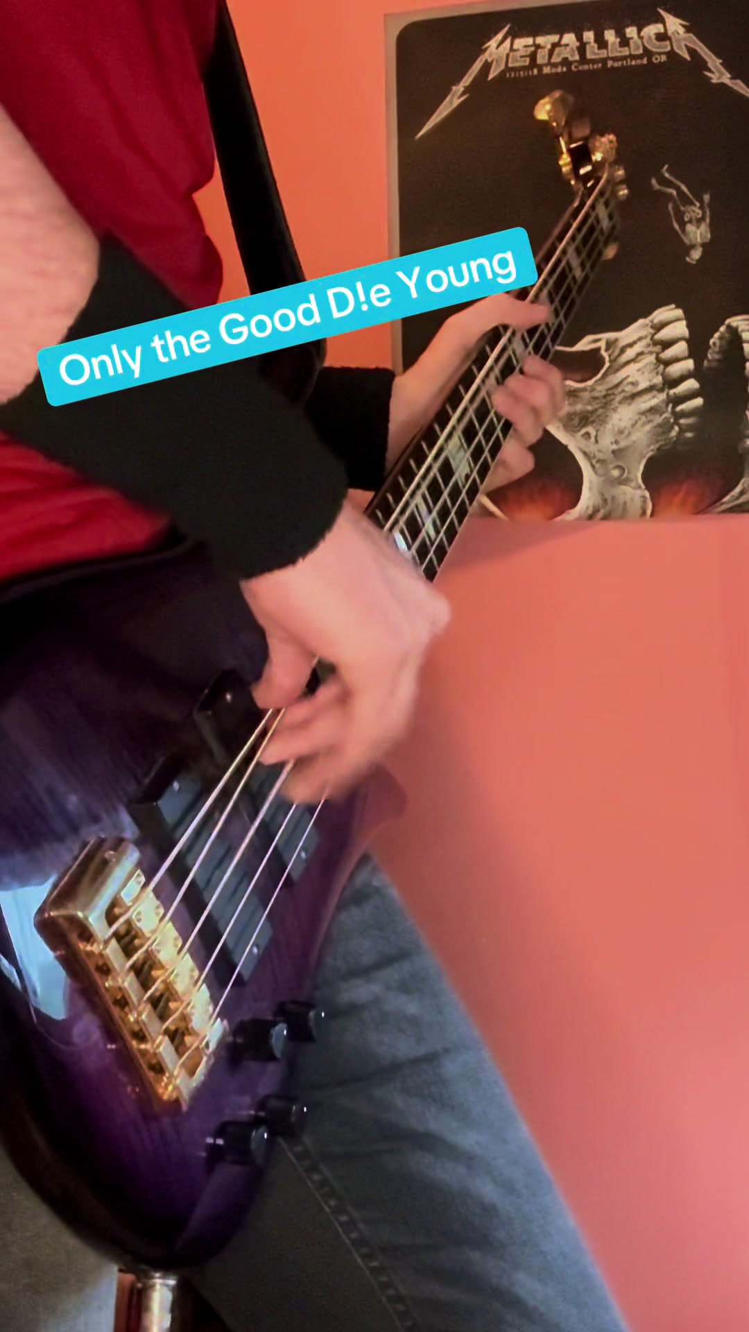 @Bass Player