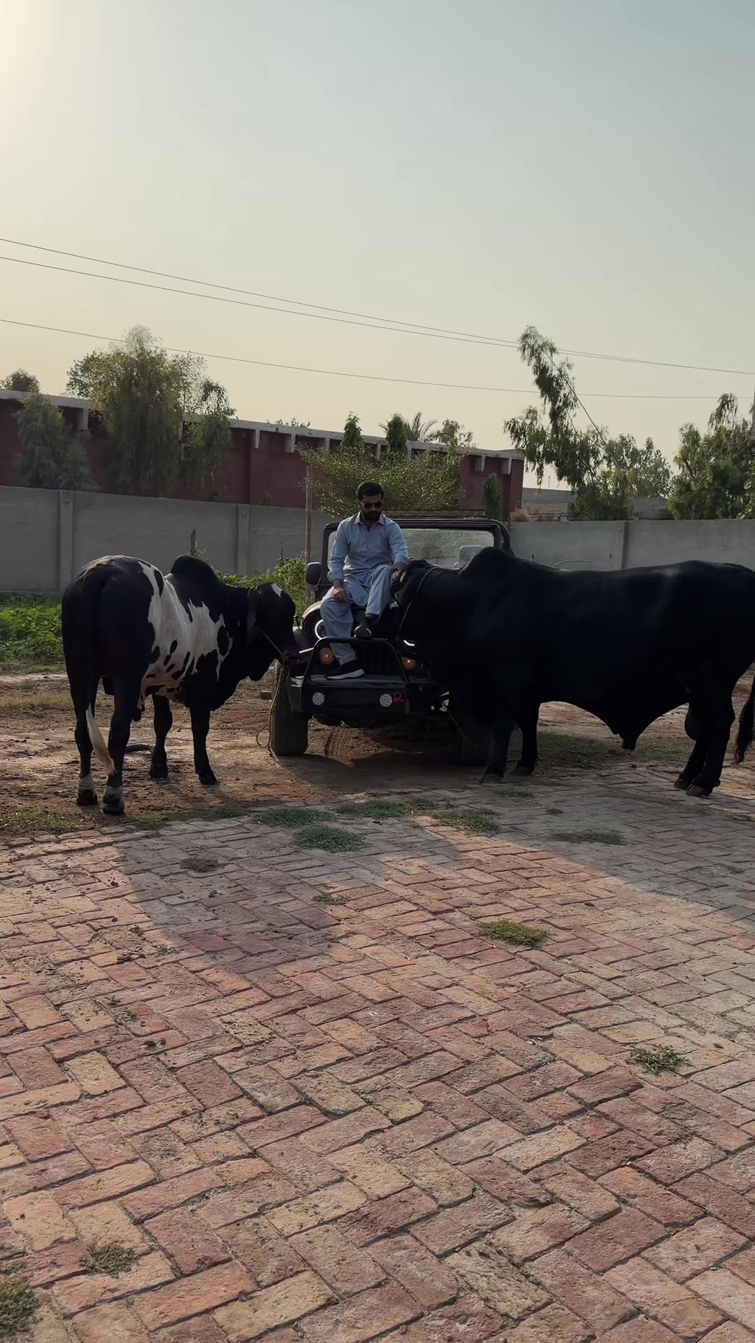 @Chaudhary Faiq