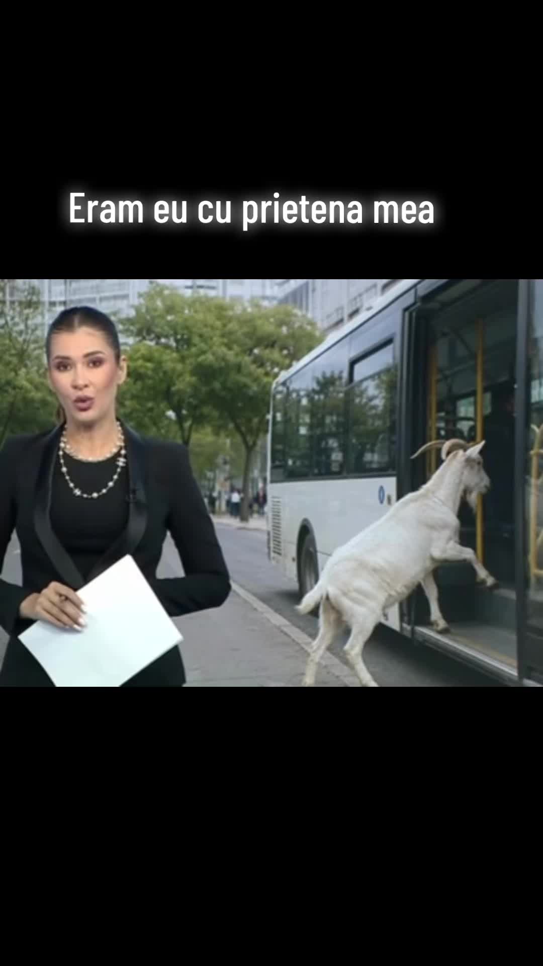 @Bela
