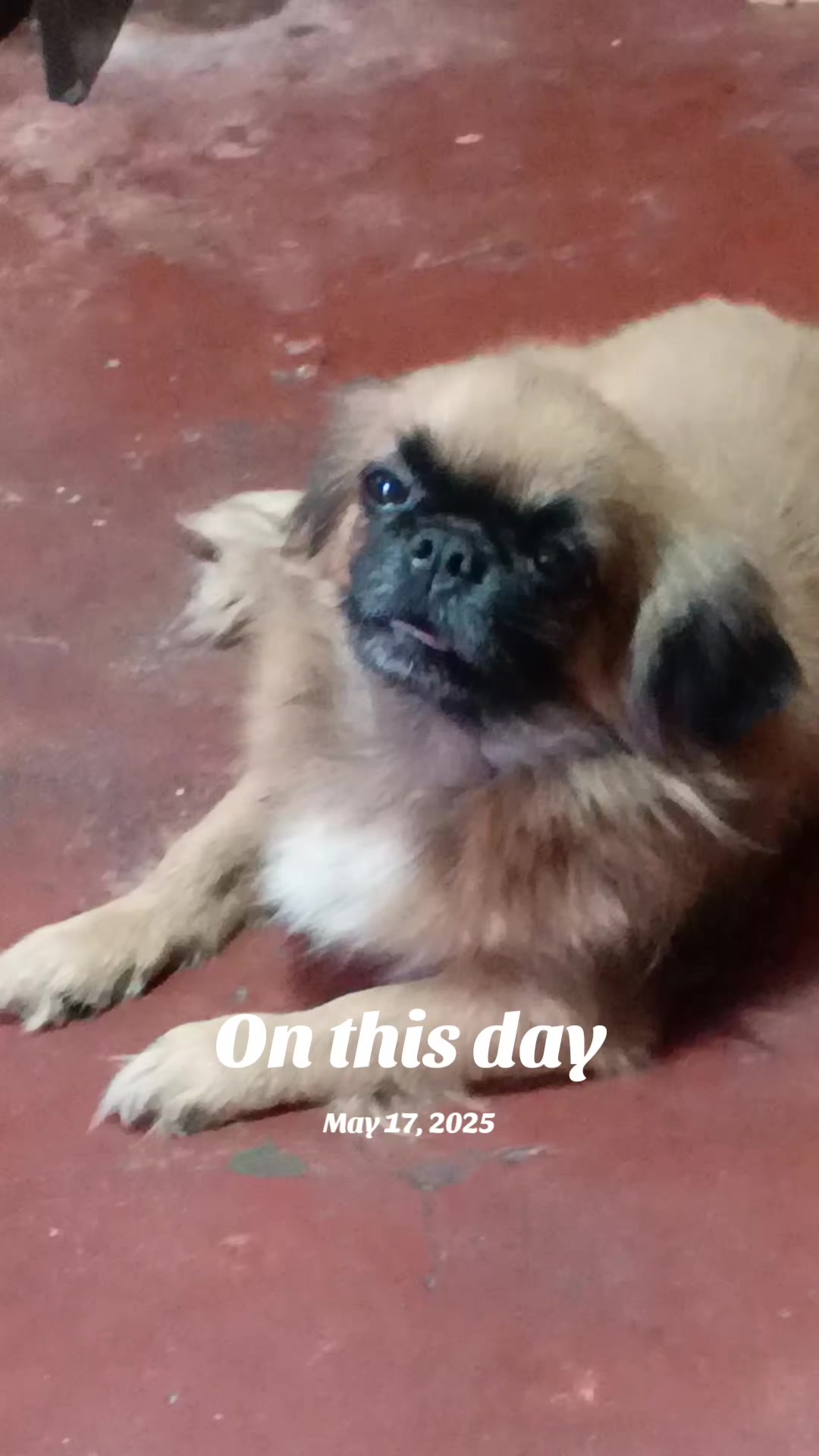 @SE&Ntilde;ORITA LIGAYA 🇵🇭