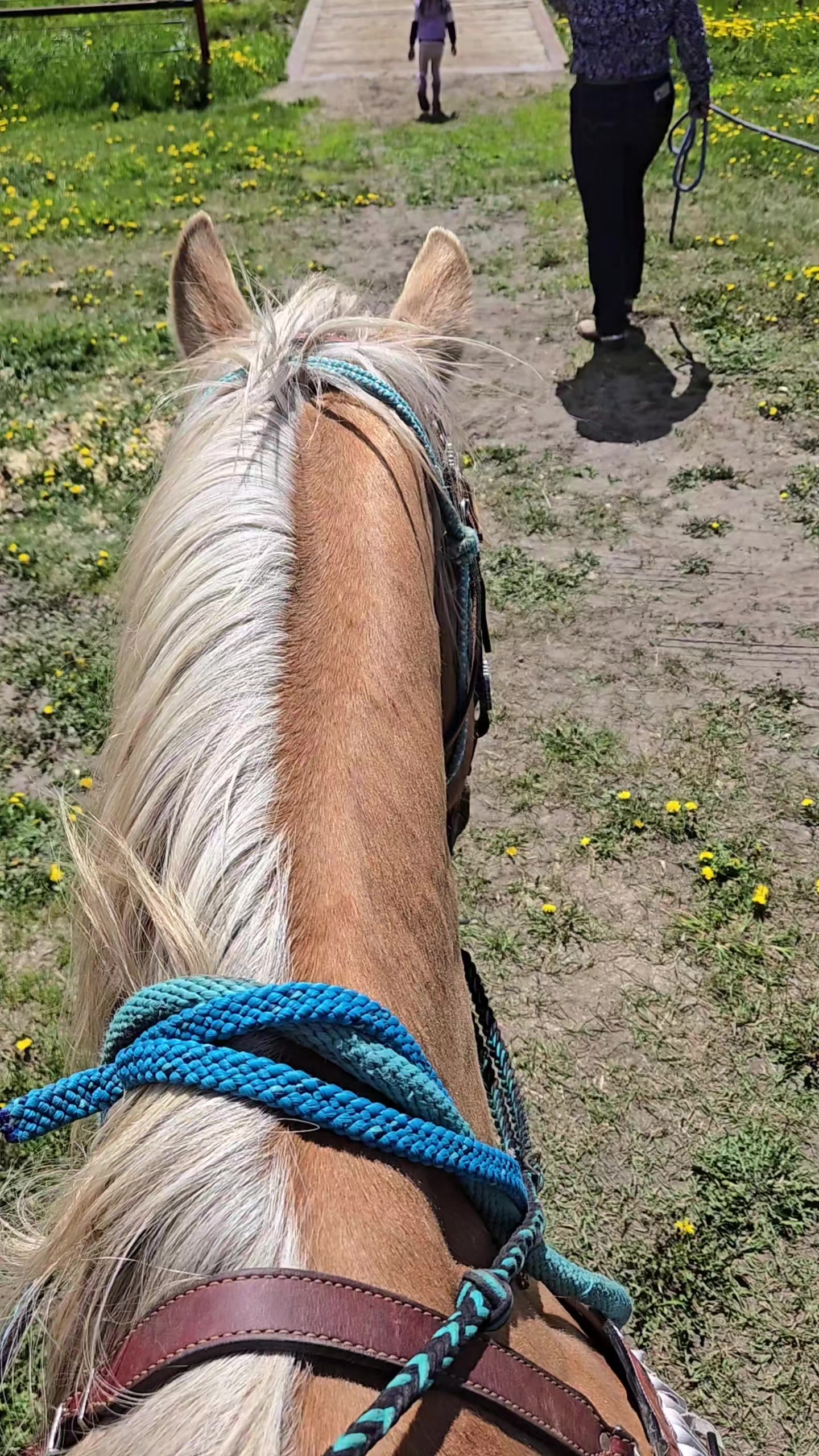 @EquestrianWeirdo