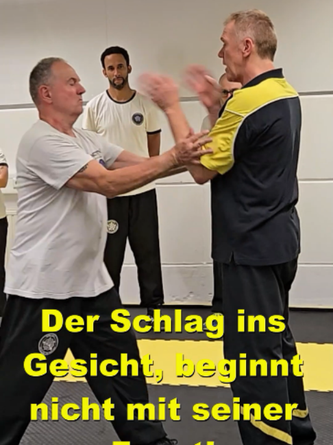@Sifu Martin Hofmann