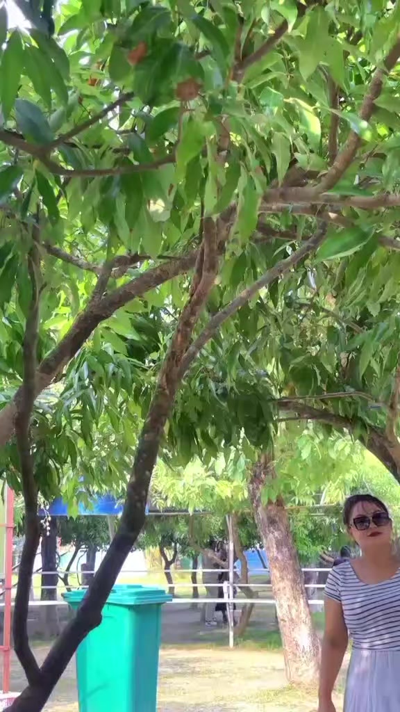 @Usha๐ซ