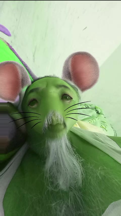@Papirrin papirrin
