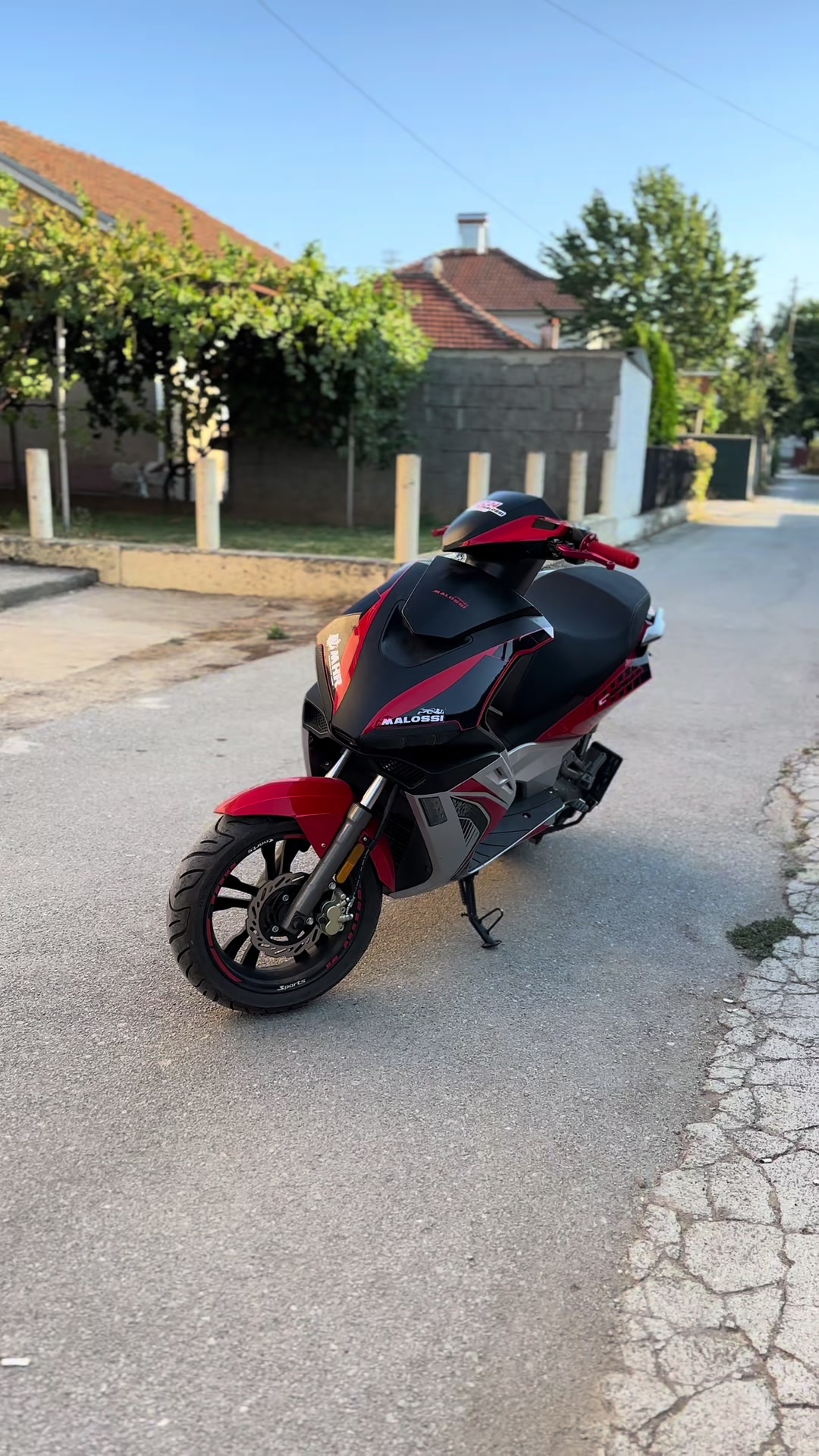 @Zajce🐇