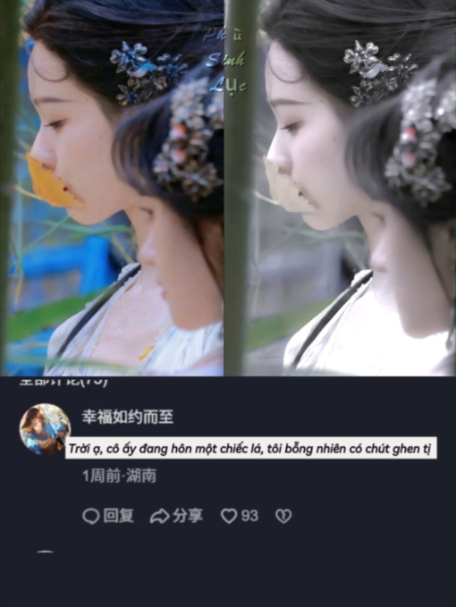 @𝘴𝘰𝘯𝘯𝘪𝘦✨