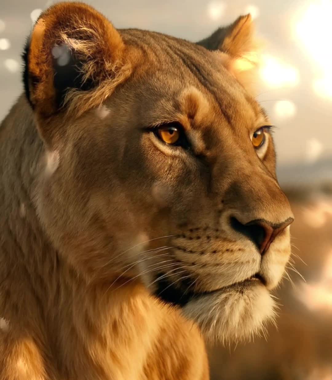 @Nat2026