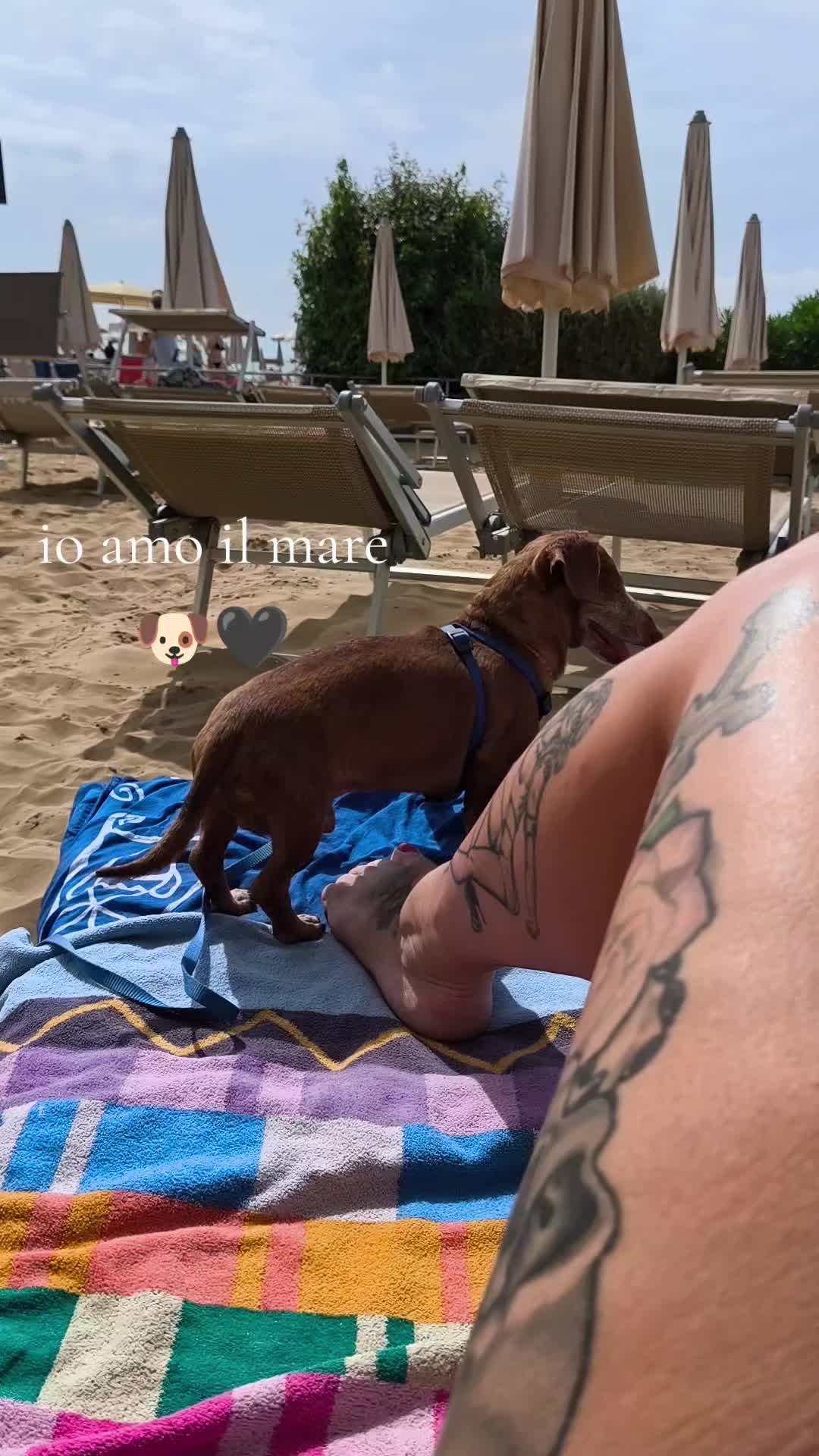 @Marta e Jj