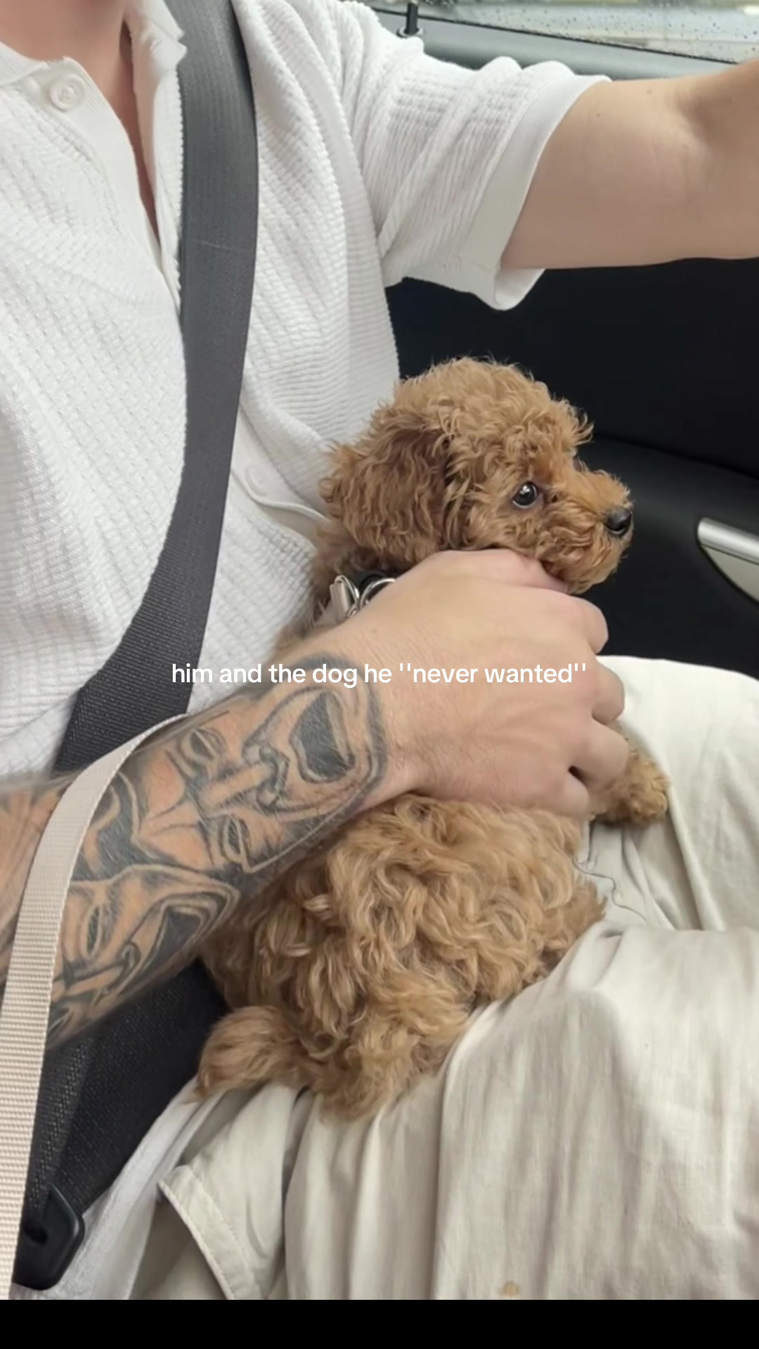 @mickythepoo